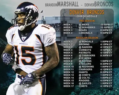 Brandon Marshall Jigsaw Puzzle picture 94872