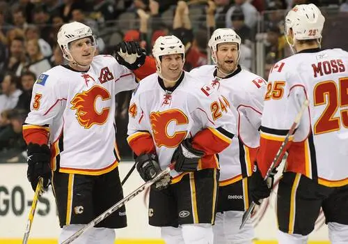 Calgary Flames Jigsaw Puzzle picture 59420