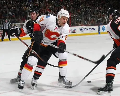 Calgary Flames Jigsaw Puzzle picture 59424