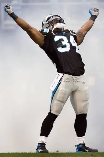 Carolina Panthers Wall Poster picture 58153