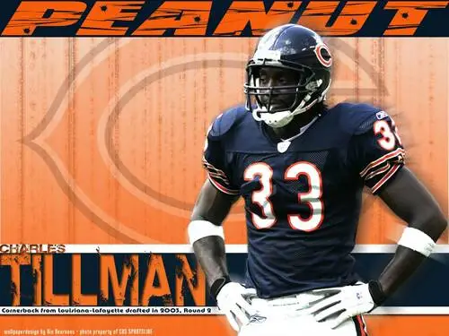 Chicago Bears Wall Poster picture 304591