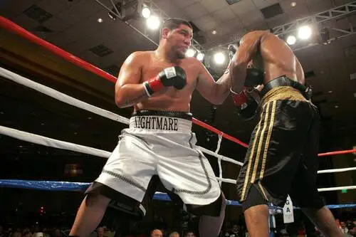 Chris Arreola Jigsaw Puzzle picture 5253
