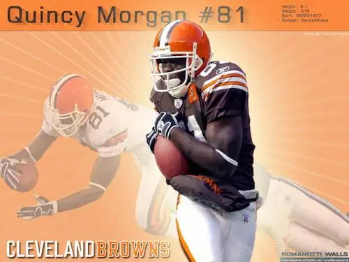 Cleveland Browns Jigsaw Puzzle picture 304771