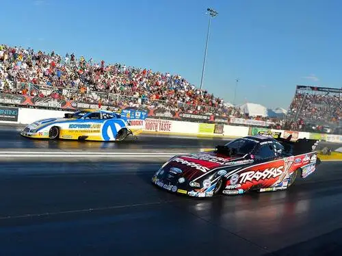 Courtney Force Wall Poster picture 309203