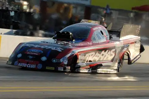Courtney Force Wall Poster picture 309215