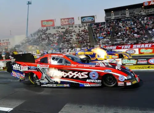 Courtney Force Fridge Magnet picture 309283