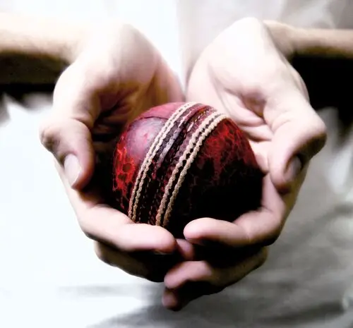 Indian Cricket Team Fridge Magnet picture 200331