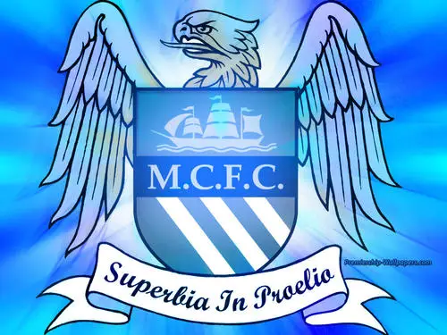 Manchester City Fridge Magnet picture 147862
