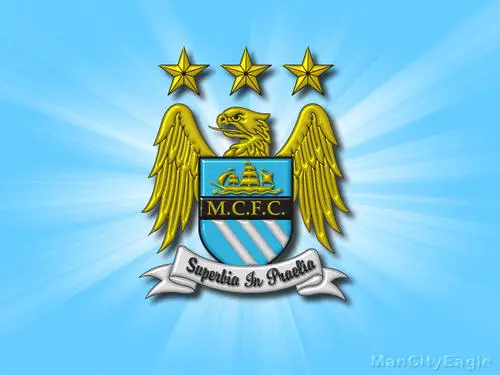 Manchester City Jigsaw Puzzle picture 147879
