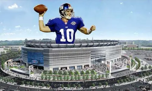 New York Giants Jigsaw Puzzle picture 58394