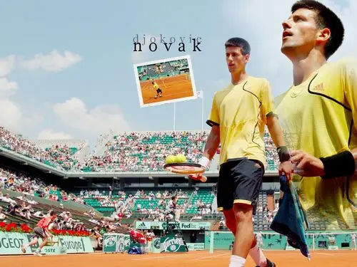 Novak Djokovic Women's Colored T-Shirt - idPoster.com