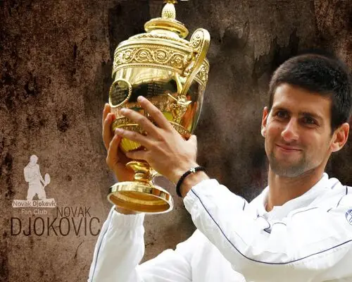 Novak Djokovic Wall Poster picture 165580