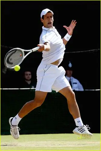 Novak Djokovic Fridge Magnet picture 165792