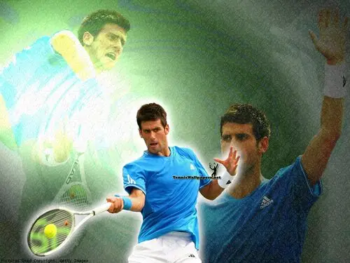 Novak Djokovic Fridge Magnet picture 165821