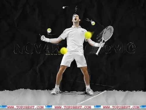 Novak Djokovic Jigsaw Puzzle picture 165828