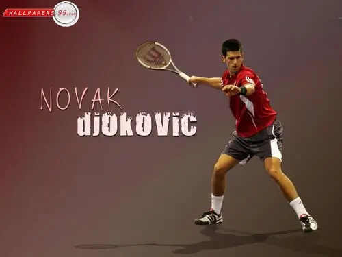 Novak Djokovic Jigsaw Puzzle picture 165868
