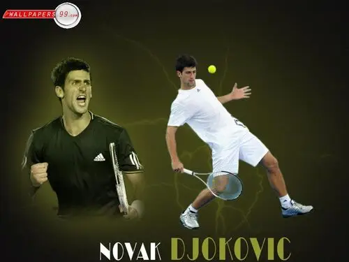 Novak Djokovic Wall Poster picture 165869