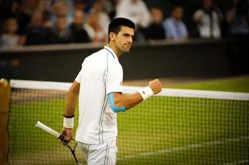Novak Djokovic White T-Shirt - idPoster.com