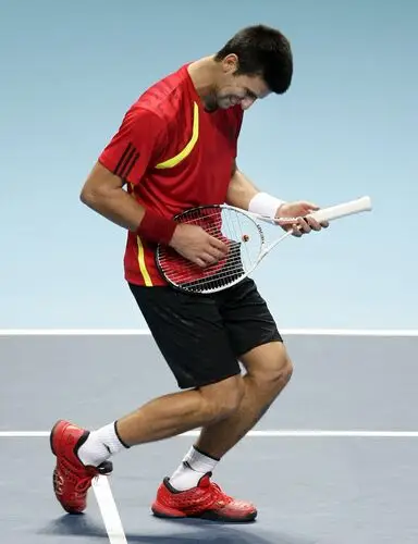 Novak Djokovic Fridge Magnet picture 84473