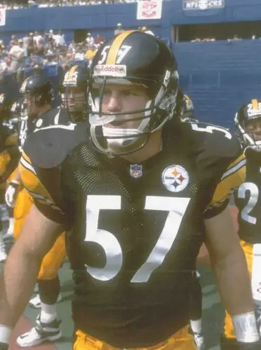 Pittsburgh Steelers Wall Poster picture 58455