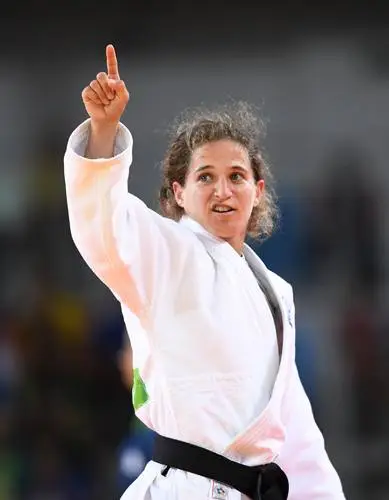 Rio 2016 Olympics Judo Kitchen Apron - idPoster.com