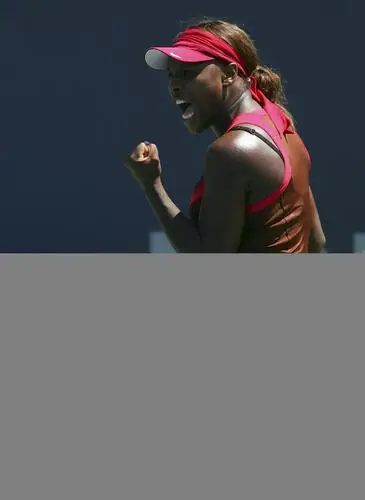 Serena Williams Wall Poster picture 18699