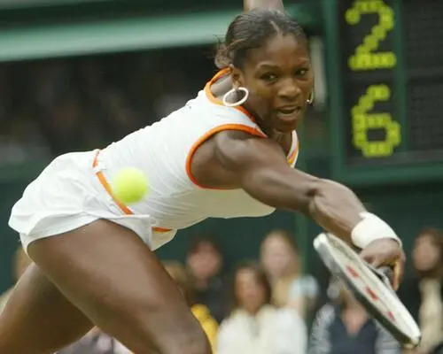 Serena Williams Wall Poster picture 18756