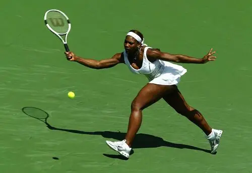 Serena Williams Wall Poster picture 18823