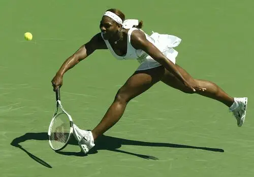 Serena Williams Wall Poster picture 18826