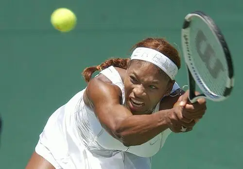 Serena Williams Wall Poster picture 18828