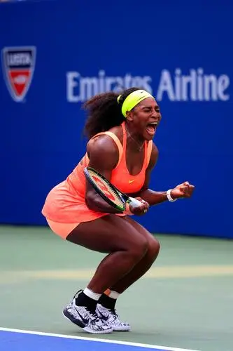 Serena Williams Wall Poster picture 520883
