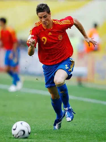 Spain National football team Fridge Magnet picture 52945