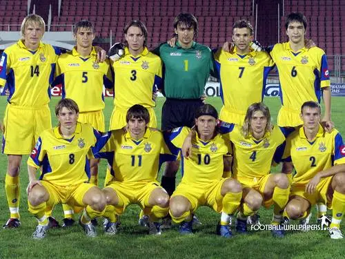 Ukraine National football team Fridge Magnet picture 103453
