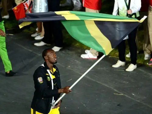 Usain Bolt Fridge Magnet picture 166204