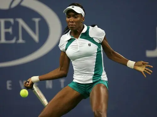 Venus Williams Wall Poster picture 103493