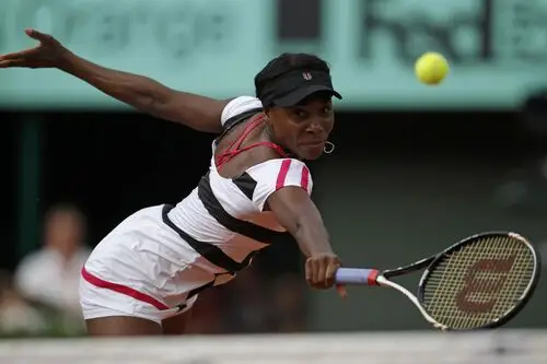 Venus Williams Wall Poster picture 265396