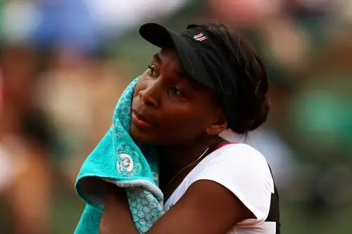 Venus Williams Wall Poster picture 265398