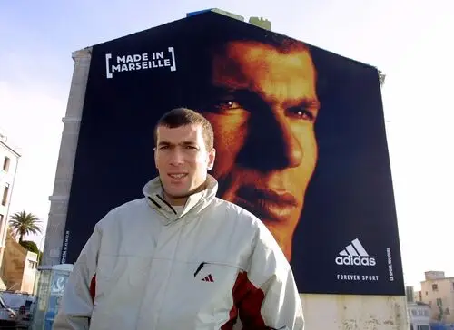 Zinedine Zidane Wall Poster picture 478750