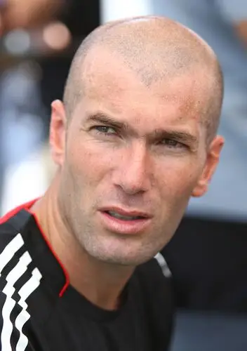 Zinedine Zidane Fridge Magnet picture 478752