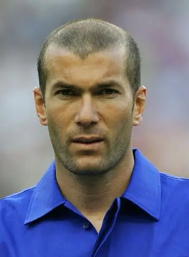 Zinedine Zidane Fridge Magnet picture 478759